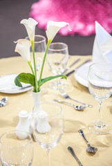  Tulips on the table