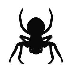 black spider isolated on white background vector