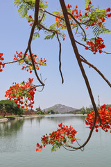 Fototapete bei efototapeten.de bestellen   