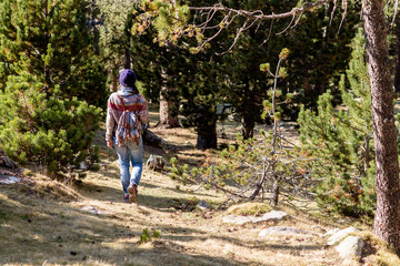 Rear view of a backpacker woman walking along the trail into forest