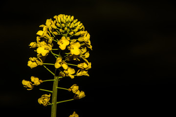 Analoge Fotografie © Johnny