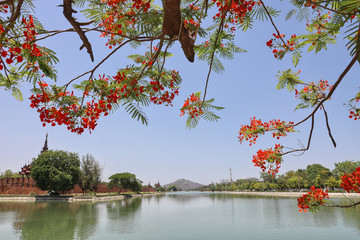 Fototapete bei efototapeten.de bestellen   