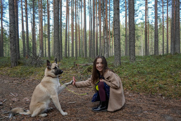Naklejka na ściany i meble little girl in the forest sits with her dog