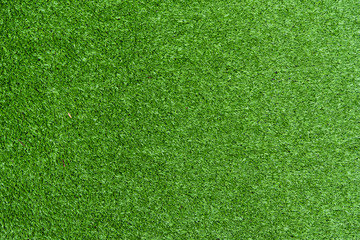 Background texture of green grass.