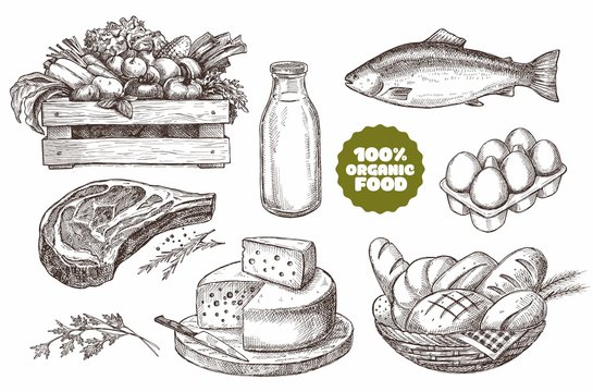 Set of illustrations of farm products. Natural products: meat, cheese, bread, milk, eggs, fish, vegetables. Vintage design.
