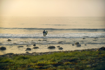 Close-up Surfer silhouette with short surfboard going to the water at sunset with rock and grass background