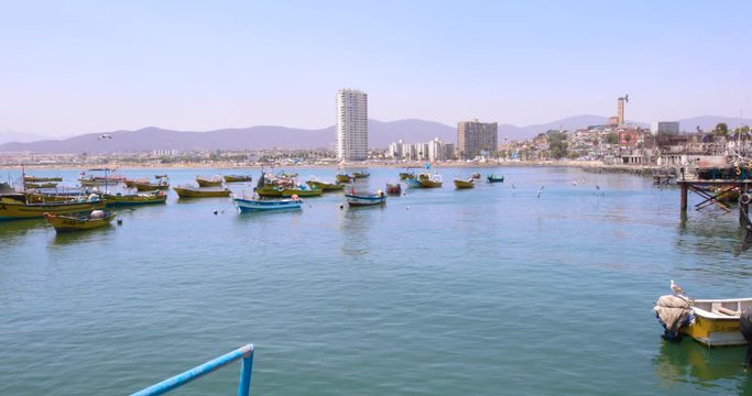Chile Coquimbo tourist port with sun