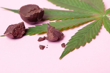 chocolate candy with THC content on pink background. marijuana food, recreational soft drugs