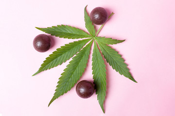 cannabis chocolates and green leaf on pink background.medical marijuana coffee sweets to enhance mood and relaxation