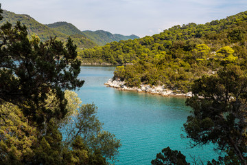 Obraz premium Saltwater lakes National Park on the island Mljet, Croatia. Mediterranean coast with greenery, pine trees in the nature creating a serene calm mindful scene. Small lake turquoise bright colored water