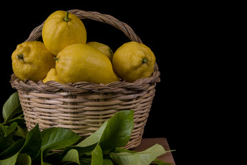 ripe organic lemons on cane basket
