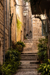 Fototapeta na wymiar Hvar town idyllic narrow old street with stone houses and steps. Hvar Island in Dalmatia, Croatia Europe. Mediterranean venetian old town with beautiful medieval streets and plants standing outside