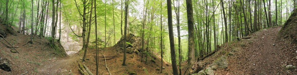 Wandern um Hohenaschau