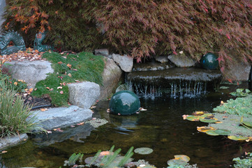 Asian garden displayed outdoors.