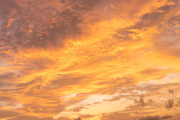 A beautiful golden yellow sky suitable for design.