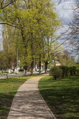 Spring urban landscape
