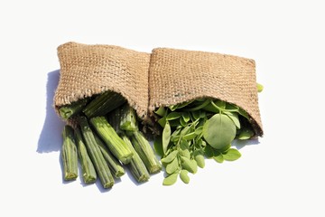 Drumstick Pods and Moringa Oleifera Leaves in Jute Sacks Isolated on White Background, Also known as Horseradish