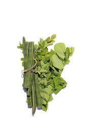 Heap of Drumstick Pods and Moringa Oleifera Leaves Isolated on White Background in Vertical Orientation, Also Kwon as Horseradish