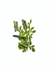 Moringa Oleifera or Drumstick  Leaves and Pods Isolated on White Background in Vertical Orientation, Also Known as Horseradish