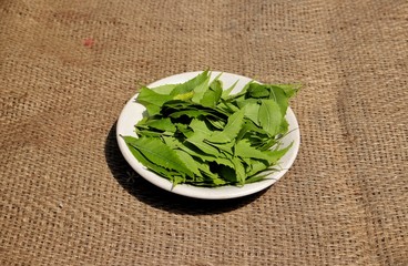 Neem Leaves or Azadirachta Indica Leaves in a Plate on Burlap Background