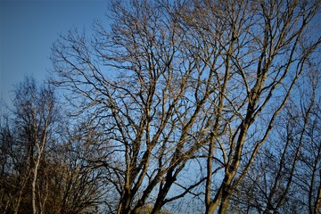 Gdańsk Westerplatte 