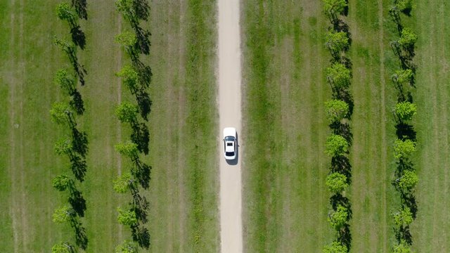 Voiture blanche sur la route entre les villages