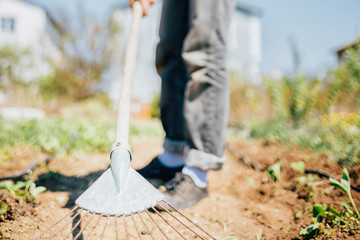 A young girl cultivates the earth with a rake. Rake close-up