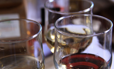 Red and white wine types glasses