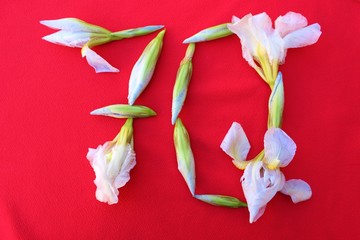 Number 70 written by fresh iris flowers on a red background. Number seventy written in fresh flowers isolated on red. 
