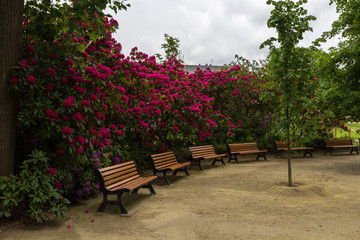 Botanic garden of Nantes in Loire valley (France)