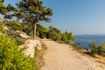Makarska in Dalmatia, Croatia. View from the peninsula on a sunny day in summer with a blue sky. Rough nature, a path with greenery, trees and rocks and the Adriatic sea at the Mediterranean coast