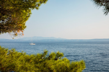 Fototapeta na wymiar A sailing boat at the Adriatic sea and pine trees at Makarska in Dalmatia, Croatia. View from the peninsula on a sunny day in summer with a blue sky. Green nature at the Mediterranean coast