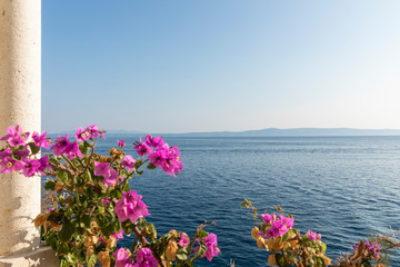 View from the peninsula on a sunny day in summer. Beautiful nature, greenery, pink flowers and the clear blue sea water at the Mediterranean coast at Makarska, Dalmatia, Croatia. Limestone pillar