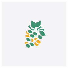 Raspberry concept 2 colored icon. Isolated orange and green Raspberry vector symbol design. Can be used for web and mobile UI/UX