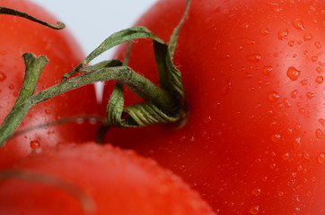 Red tomatoes bunch on light background