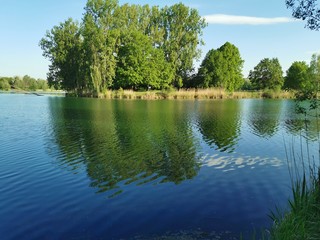 Natur; See; Bäume; Weiher; Schilf; Enten; Donau; Grün; Frühling; Baggersee;