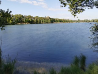 Natur; See; Bäume; Weiher; Schilf; Enten; Donau; Grün; Frühling; Baggersee;