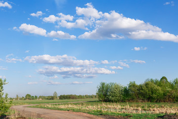 Fototapeta na wymiar Daytime landscape of a field with a blue sky