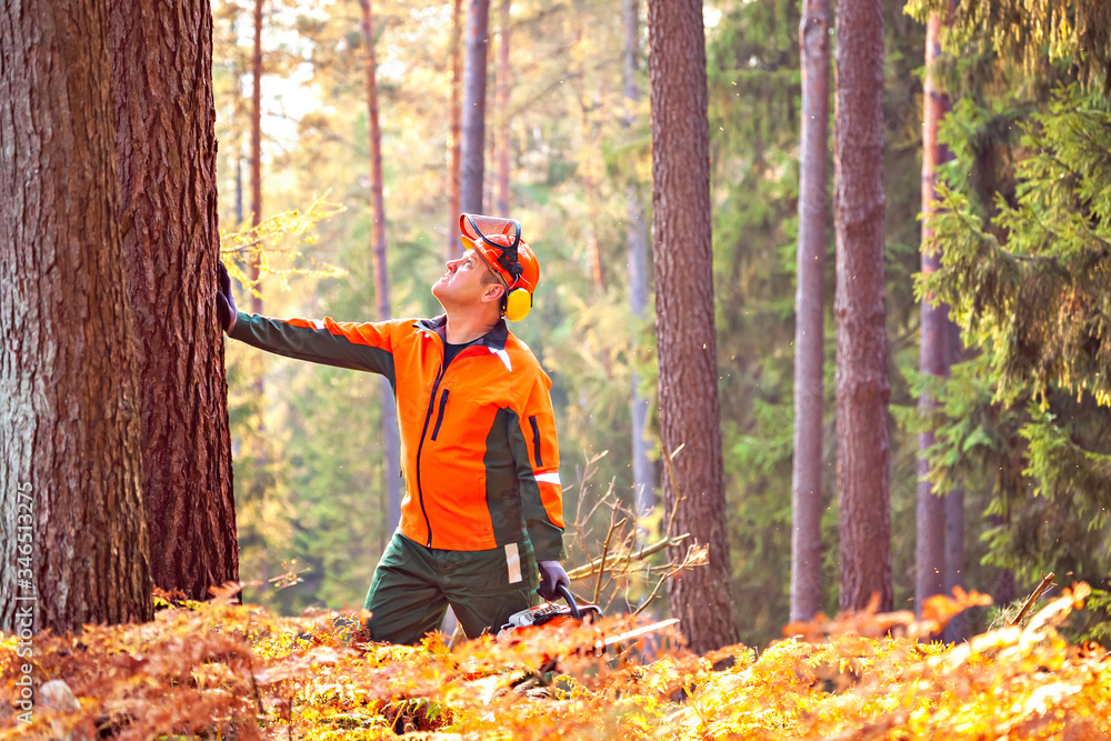 Wall mural lumberjack