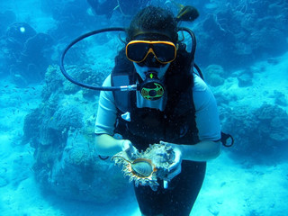 scuba diver underwater 