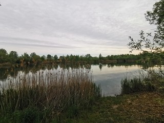 Natur; See; Bäume; Weiher; Schilf; Enten; Donau; Grün; Frühling; Baggersee;