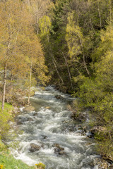 Waterfall in the Riu de la Bor in L Aldosa de Canillo in Andorra in spring.