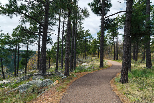 The path to the known/unknown. Conceptual nature/landscape image for saying/quotes etc. A cloudy gloomy day walk through the path, by the Mogollon rim, Payson, AZ