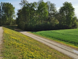 Natur; Landschaft; Blumen; Bäume; See; Weiher; Himmel; 