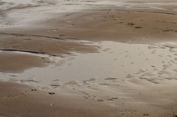 water and wet rippled sand at the beach at sunset background, Adriatic sea in Italy Italy