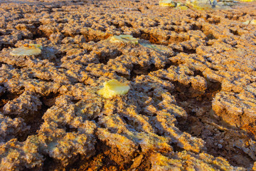 Dallol landscape, Danakil desert, Ethiopia