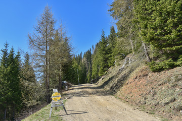 zeichen, road, abmahnung, strassenschild, gelb, traffic, gefahr, strasse, natur, kreuzung,...