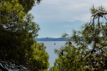 Fototapeta na wymiar A beautiful lightblue colored sky and the clear Adriatic sea with a boat surrounded by pine trees, pines and greenery on a sunny day in summer in Dalmatia, Croatia