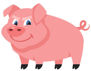 Standing male pig. Farm animal in cartoon style.