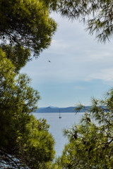 A lightblue colored sky surrounded by pine trees, pines and greenery on a sunny day in summer in Dalmatia, Croatia. Mediterranean nature near the Adriatic coast. Islands in the background